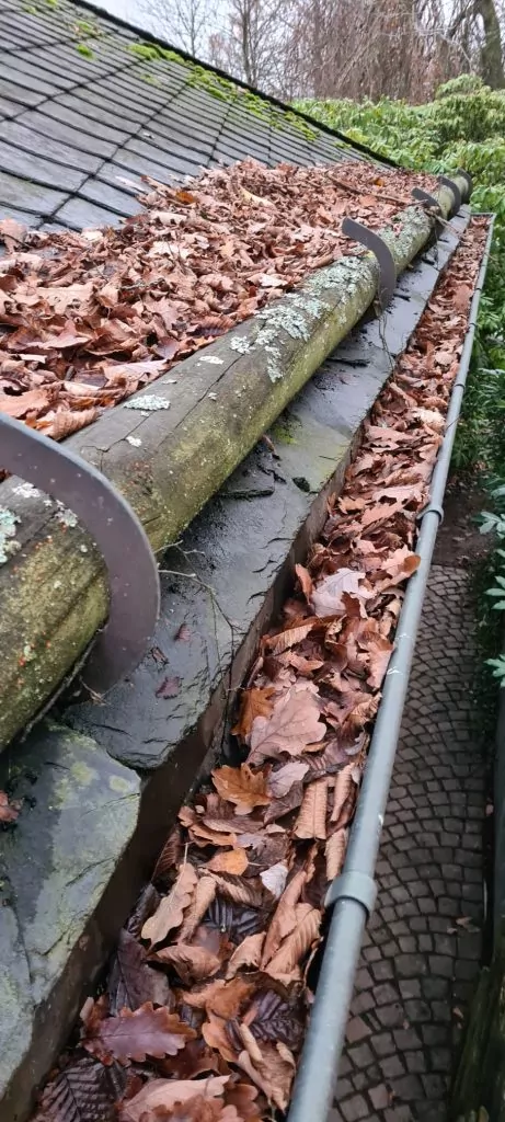 Dachrinne vorher verstopft mit Laub